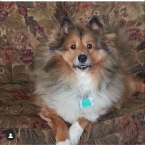 Meet your Posher, Lisa